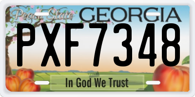 GA license plate PXF7348