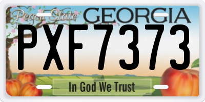 GA license plate PXF7373