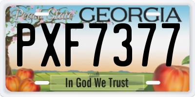 GA license plate PXF7377