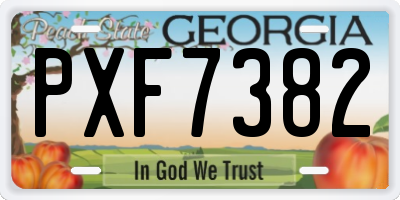 GA license plate PXF7382