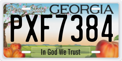 GA license plate PXF7384