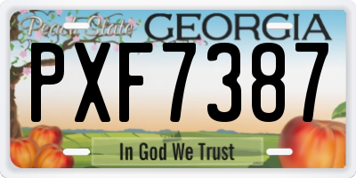 GA license plate PXF7387