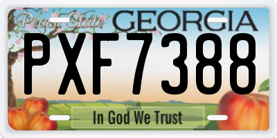 GA license plate PXF7388