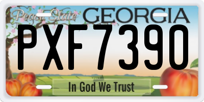 GA license plate PXF7390