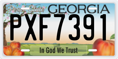 GA license plate PXF7391