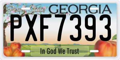 GA license plate PXF7393
