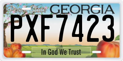 GA license plate PXF7423