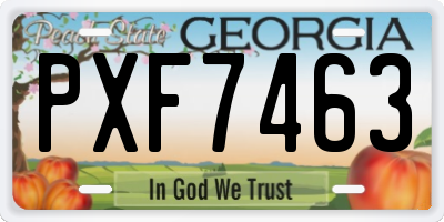 GA license plate PXF7463
