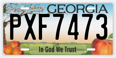 GA license plate PXF7473