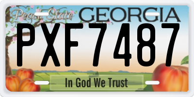 GA license plate PXF7487