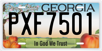 GA license plate PXF7501
