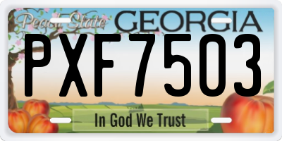 GA license plate PXF7503