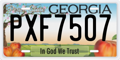 GA license plate PXF7507