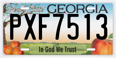 GA license plate PXF7513