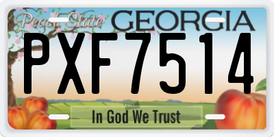 GA license plate PXF7514