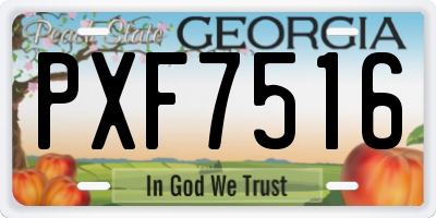 GA license plate PXF7516