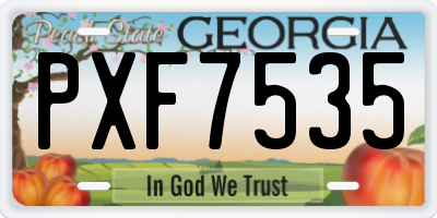GA license plate PXF7535