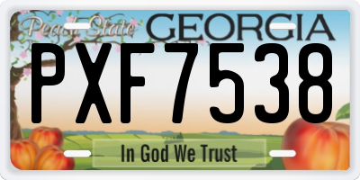GA license plate PXF7538
