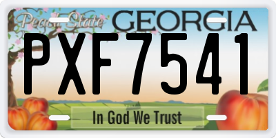GA license plate PXF7541