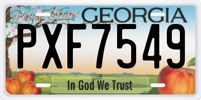 GA license plate PXF7549