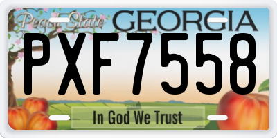 GA license plate PXF7558