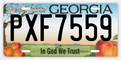 GA license plate PXF7559