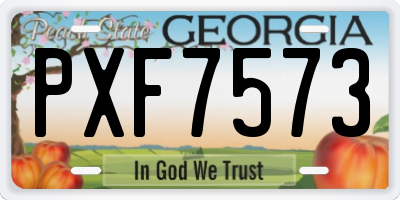 GA license plate PXF7573