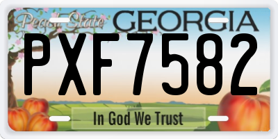 GA license plate PXF7582