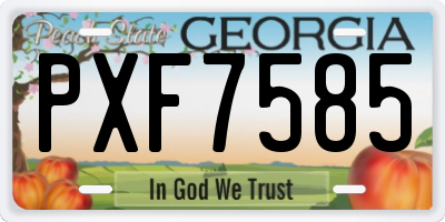 GA license plate PXF7585