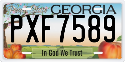 GA license plate PXF7589