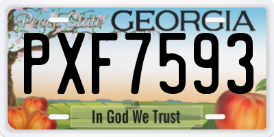 GA license plate PXF7593