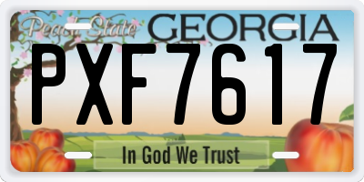 GA license plate PXF7617