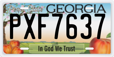 GA license plate PXF7637
