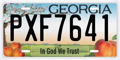 GA license plate PXF7641