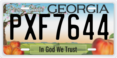 GA license plate PXF7644