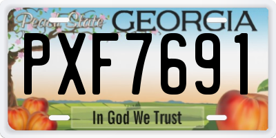 GA license plate PXF7691