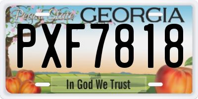 GA license plate PXF7818
