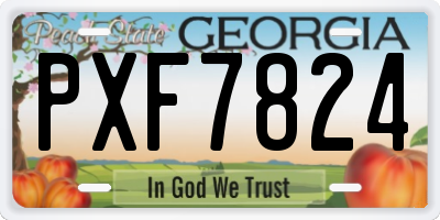 GA license plate PXF7824