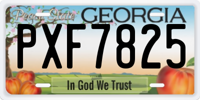 GA license plate PXF7825