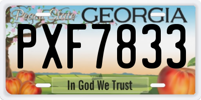GA license plate PXF7833