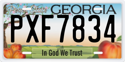 GA license plate PXF7834
