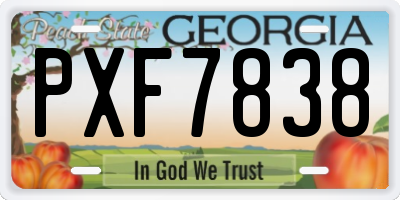 GA license plate PXF7838