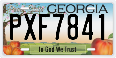 GA license plate PXF7841