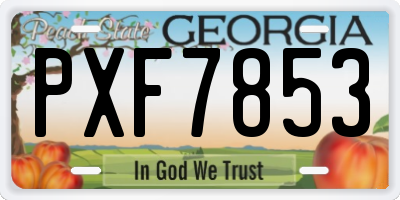 GA license plate PXF7853