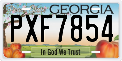 GA license plate PXF7854