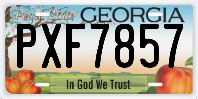 GA license plate PXF7857