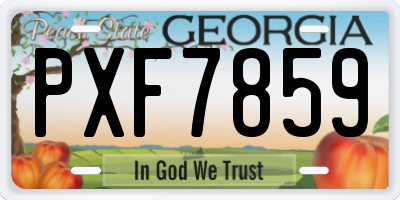 GA license plate PXF7859