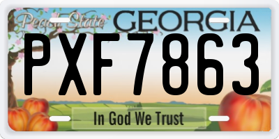GA license plate PXF7863