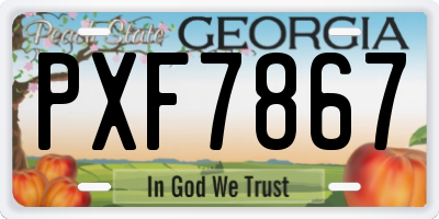 GA license plate PXF7867