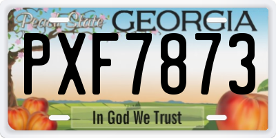 GA license plate PXF7873